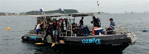 Immagine raccolta per Sea Slug Survey Dive events