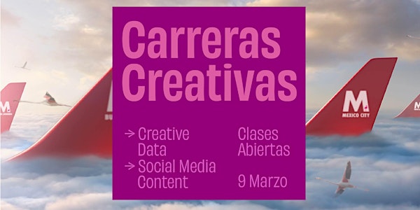 Carreras Creativas: Creative Data | Social Media Content
