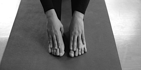 Somatic Movement: 6 Week Series Exploring Pain Free Movement primary image