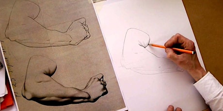 10-Week Classical Drawing Course primary image