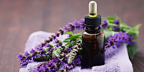 Introduction to Essential oils and Aromatherapy Massage primary image