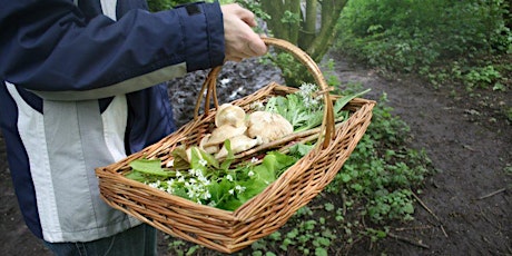 Early Taste of Spring Wild Food Forage primary image