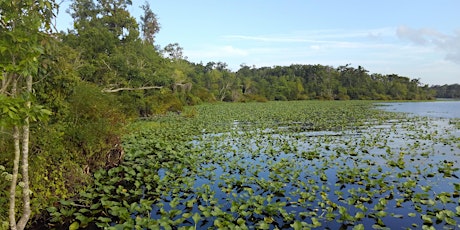 Wetlands Nature Hike at Camp Chowenwaw Park tickets