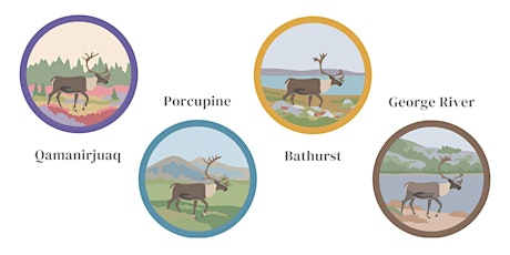 Caribou Abundance and Migration primary image