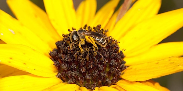 2016 Workshop: Gardening for Pollinator Conservation