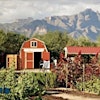 Logotipo de Tucson Village Farm