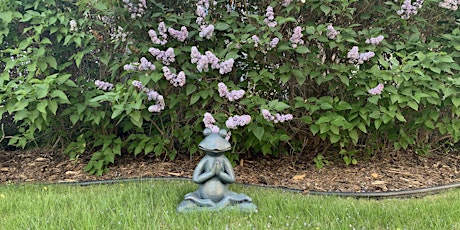 Zen Meditation in Edmonton primary image