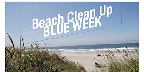Blue Week 2016 - Beach Clean Up primary image