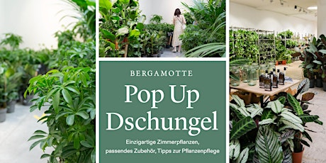 Pop Up Dschungel // Bern
