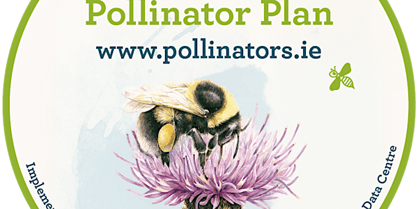 What can Tidy Towns do to help Pollinators?