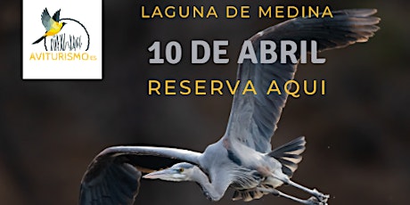 Laguna de Medina Birdwatching en Jerez - Observación de aves