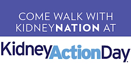 KidneyNation Walk primary image