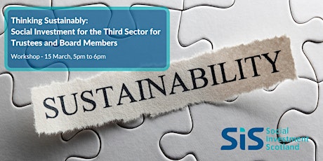 Thinking Sustainably-Social Investment For Trustees & Board Members.