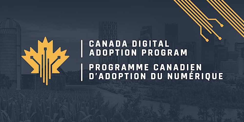 Digital-Adoption-Program 