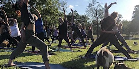 Goat Yoga at Logboat - For A Cause!