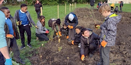Wee Forest planting day at Queen's Park Recreation Ground, Glasgow primary image