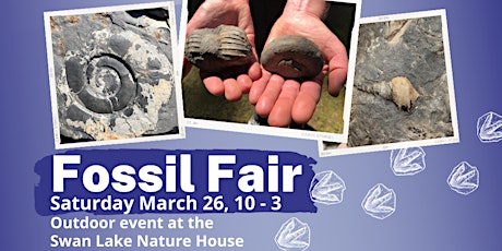 Fossil Fair primary image