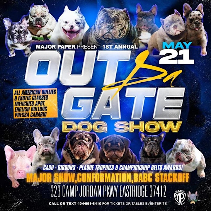 Out The Gate Dog Show image