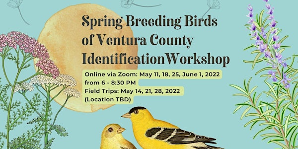 Breeding Birds of Ventura County Identification Workshop 2022