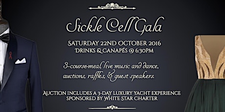 Sickle Cell Gala primary image