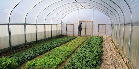 High Tunnel Pest Exclusion and Proper Use of Alternative Insecticides primary image