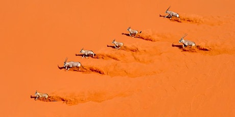 Namibia Sand Dune Adventure Safari - March 24-28, 2017 primary image