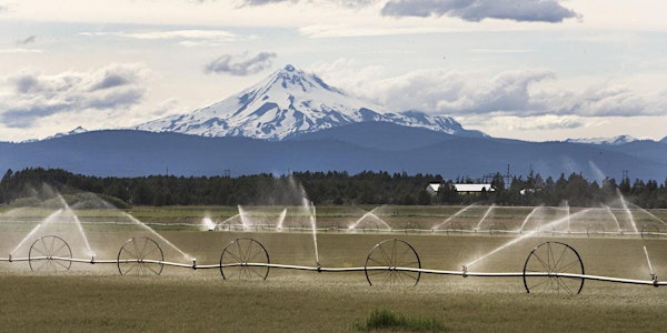 Irrigation Water Mgt Series - Adapting to Drought Conditions