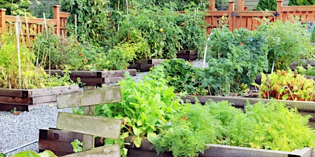 Sunbury - Let’s Grow Hume Edible Gardening tickets