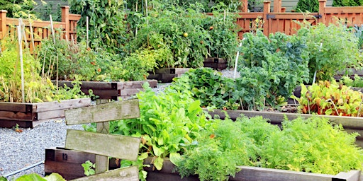 Sunbury - Let’s Grow Hume Edible Gardening
