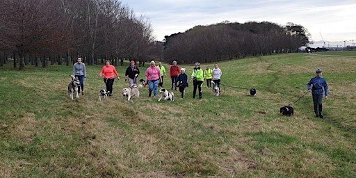 Pawsitive Fitness Hiking Class