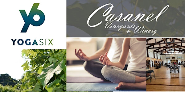 Copy of YogaSix Class at Casanel Vineyards & Winery