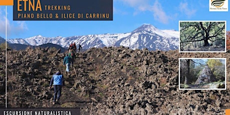 Etna, trekking da Piano Bello all'Ilice di Carrinu