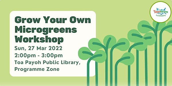 Grow Your Own Microgreens Workshop | Tweenkerama | Sustainability