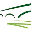 Limerick City Library's Logo