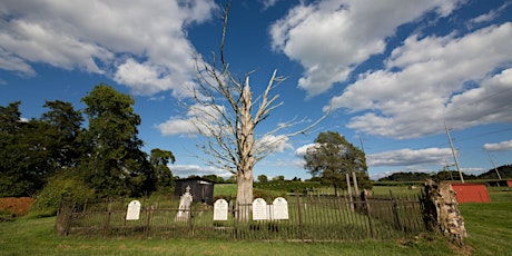 Judgement Day Haunted Trail primary image