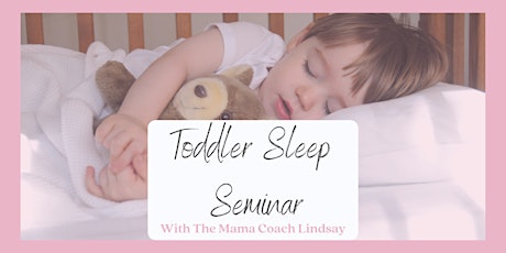 Toddler Sleep Seminar primary image
