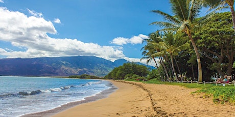 Hawaii, beauté et diversité primary image