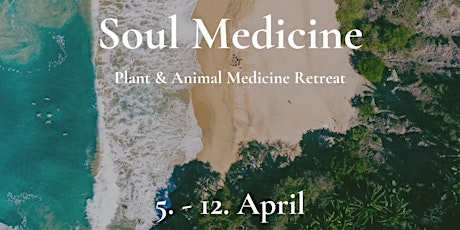 Imagen principal de SOUL MEDICINE: Psilocybin, Kambo, Bufo, Temazcal, Healing Retreat