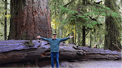 Ancient Forest: Stroll Through Cathedral Grove's 800 Year Old Trees tickets