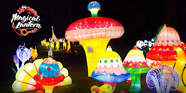 Magical Lantern Festival Yorkshire 