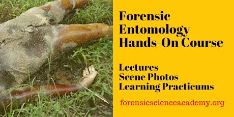 Forensic Entomology Evidence: Collection, Documentation, and Case Studies billets