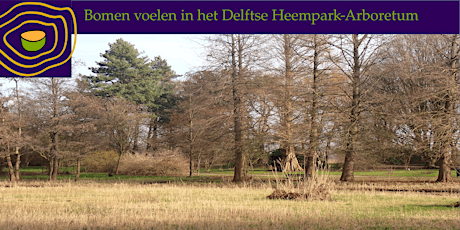 Primaire afbeelding van Bomen Voelen in de het Delftse Heempark / Arboretum (gratis)