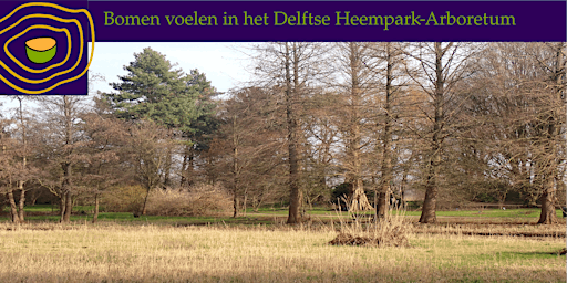 Bomen Voelen in de het Delftse Heempark / Arboretum (gratis)