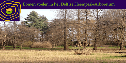Bomen voelen in het Delftse Arboretum-Heempark