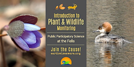 Introduction to Plant & Wildlife Monitoring for Conservation at The Fells tickets