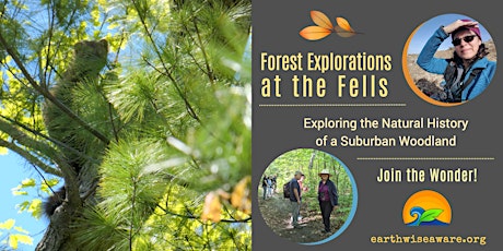 Spring Forest Explorations tickets