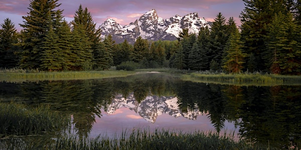 2023 ICONS of the Tetons ( June 1-5 ) Photography Workshop