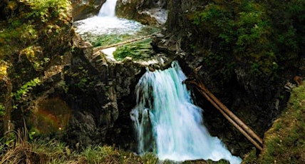 Quick Glimpse: Vancouver Island Waterfall Viewing tickets
