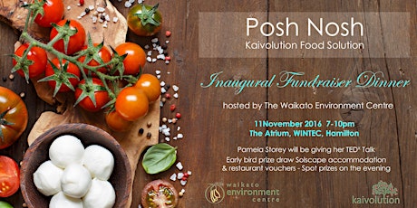 Posh Nosh Fundraiser Dinner primary image