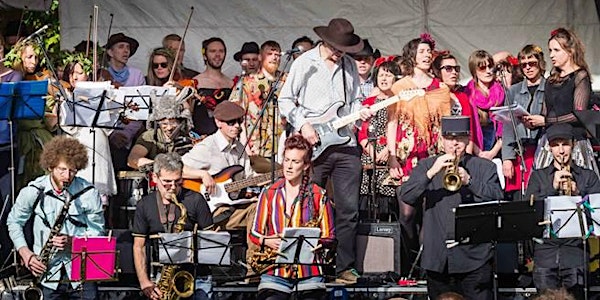 The Fantasy orchestra lead by Jesse D Vernon